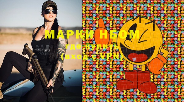 ГАЛЛЮЦИНОГЕННЫЕ ГРИБЫ Арсеньев