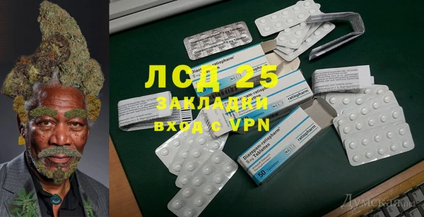 ГАЛЛЮЦИНОГЕННЫЕ ГРИБЫ Арсеньев