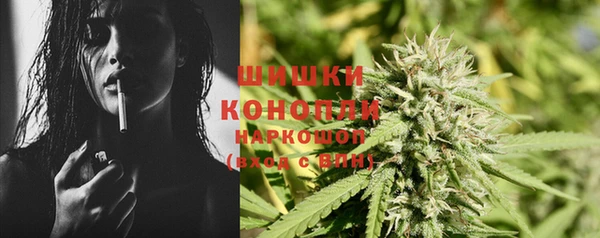 ГАЛЛЮЦИНОГЕННЫЕ ГРИБЫ Арсеньев