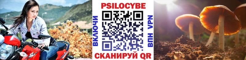 Псилоцибиновые грибы MAGIC MUSHROOMS  Бодайбо 